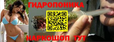 a pvp Обь