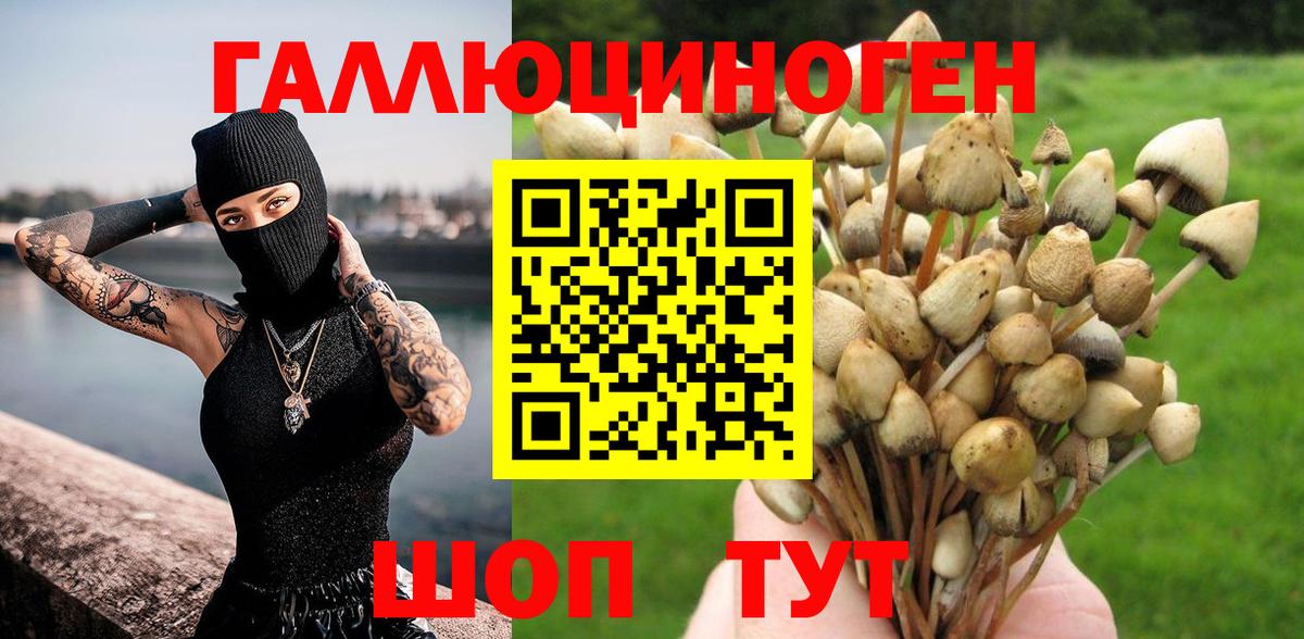 Псилоцибиновые грибы Cubensis  Галлюциногенные грибы мицелий  Вход с VPN  Соликамск 